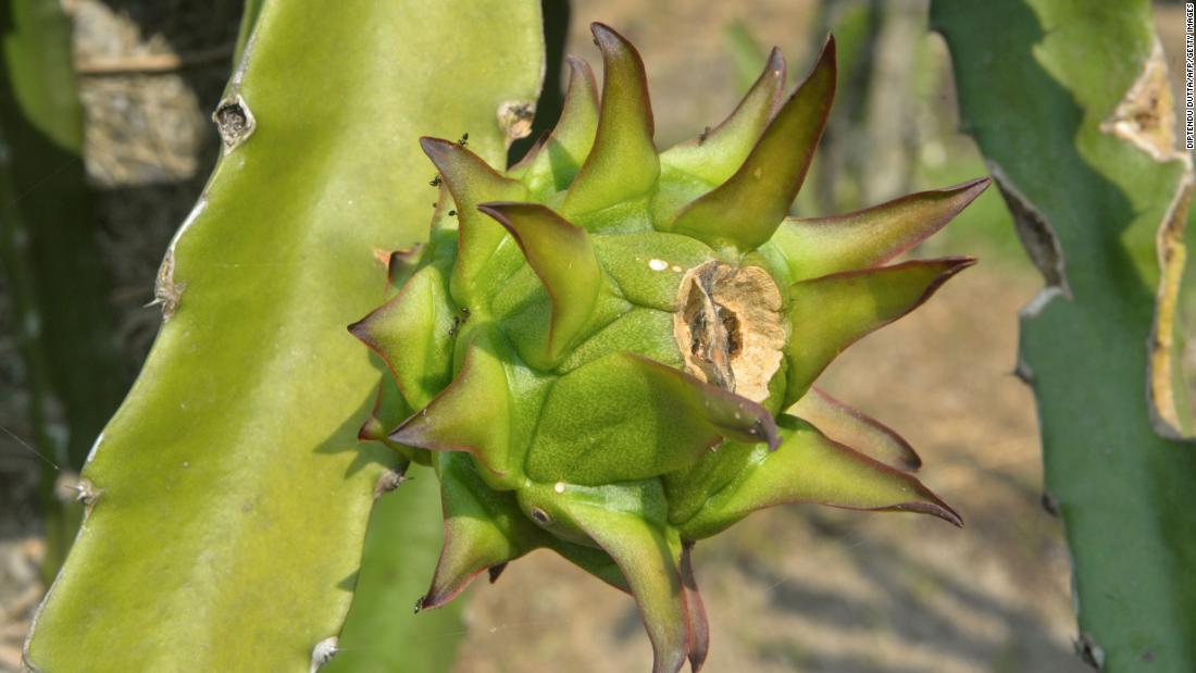 An Indian state renames dragon fruit to avoid association with China