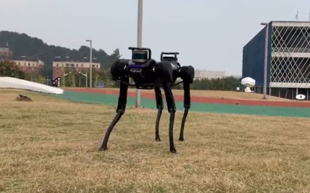 This robot dog learned how to get up after falling
