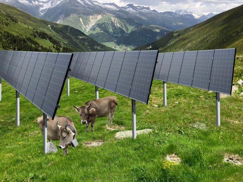 Axpo und Agri-Photovoltaik: Innovative Ansätze für Nachhaltigkeit in der Energieproduktion und Landwirtschaft Axpo und Agri-Photovoltaik: Innovative Ansätze für Nachhaltigkeit in der Energieproduktion und Landwirtschaft